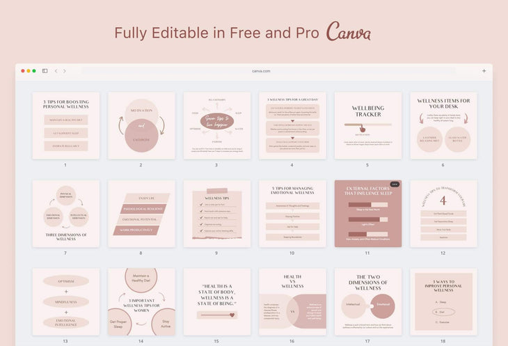 Ladystrategist 20 Wellness Tips and Infographics - Instagram Engagement Posts - Fully Editable Canva Templates instagram canva templates social media templates etsy free canva templates