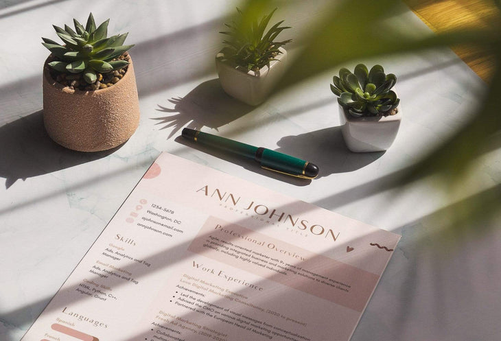 Ladystrategist 3 Page Resume + Cover Letter and References - Rose Gold instagram canva templates social media templates etsy free canva templates