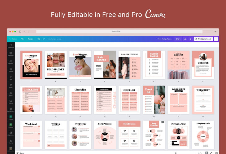 Ladystrategist Amelia Lead Magnet Editable Canva Template instagram canva templates social media templates etsy free canva templates