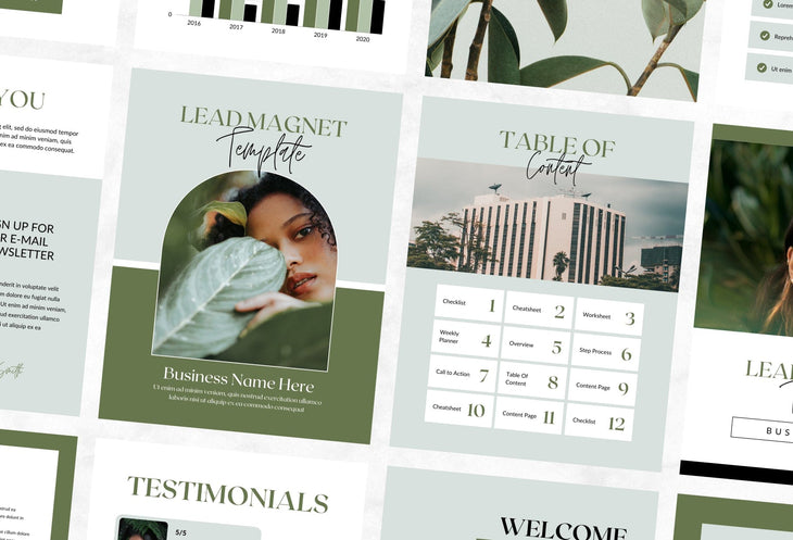 Ladystrategist Hillary Lead Magnet Editable Canva Template instagram canva templates social media templates etsy free canva templates