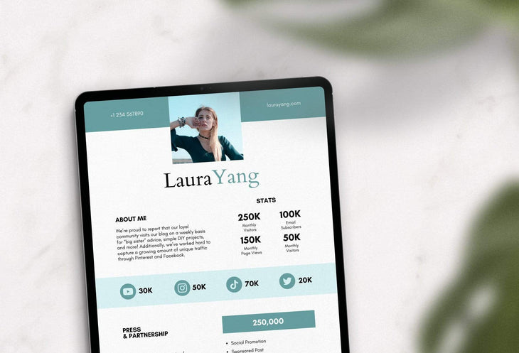Ladystrategist Laura Yang Media Kit Canva Template for Influencers instagram canva templates social media templates etsy free canva templates
