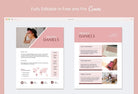 Ladystrategist Melissa Daniels Media Kit Canva Template for Influencers instagram canva templates social media templates etsy free canva templates