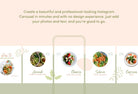 Ladystrategist Mila Food and Nutrition 6-Page Carousel Canva Template instagram canva templates social media templates etsy free canva templates