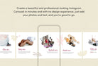 Ladystrategist Paisley Educational 6-Page Carousel Canva Template instagram canva templates social media templates etsy free canva templates