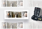 Ladystrategist ShutterBug Facebook Cover for Photographers - Editable Canva Template instagram canva templates social media templates etsy free canva templates